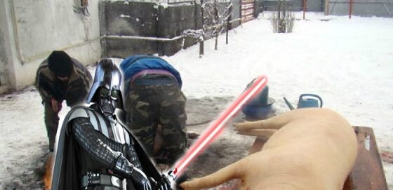 LOL: Un cocalar caută o butelie cu laser pentru că vrea să își pârlească porcul ca în Star Wars!