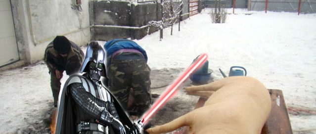 LOL: Un cocalar caută o butelie cu laser pentru că vrea să își pârlească porcul ca în Star Wars!