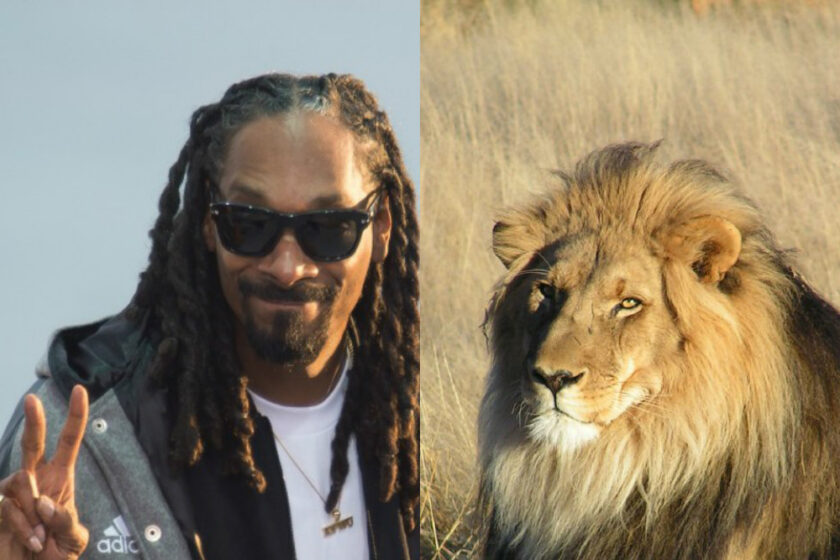 VIDEO LOL: Snoop Dogg prezintă o emisiune cu animale. Pregătește-te să râzi