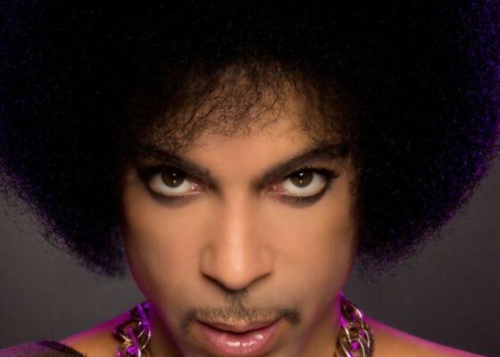 FOTO: Cum arată poza lui Prince din pașaport!
