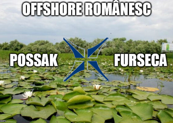 Pentru orice buzunar! Un român promite că îți poate deschide firmă offshore în Insula Mare a Brăilei!