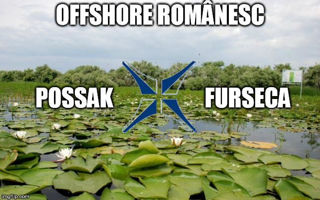 Pentru orice buzunar! Un român promite că îți poate deschide firmă offshore în Insula Mare a Brăilei!