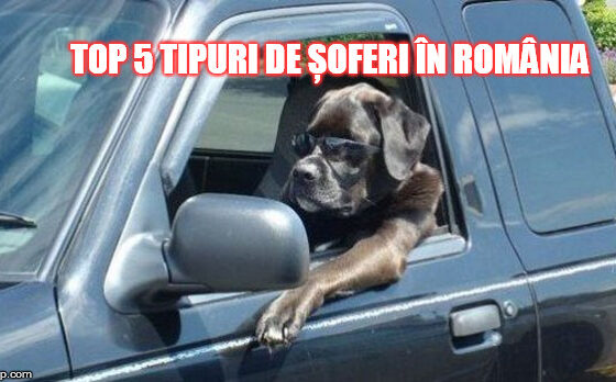 TOP 5 tipuri de șoferi care te enervează pe drumurile din România!