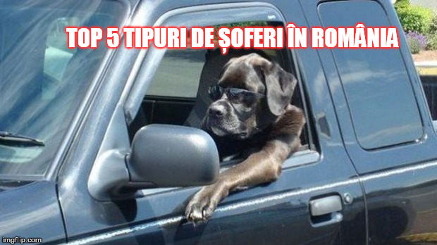 TOP 5 tipuri de șoferi care te enervează pe drumurile din România!