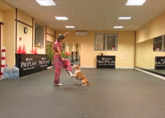 VIDEO OMG | O tipă şi un câine fac cea mai tare coregrafie