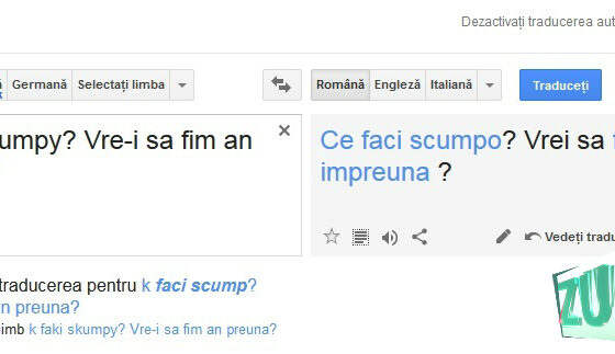 De Ziua Limbii Române, Google Translate oferă posibilitatea de a traduce din româna de pe facebook în română!