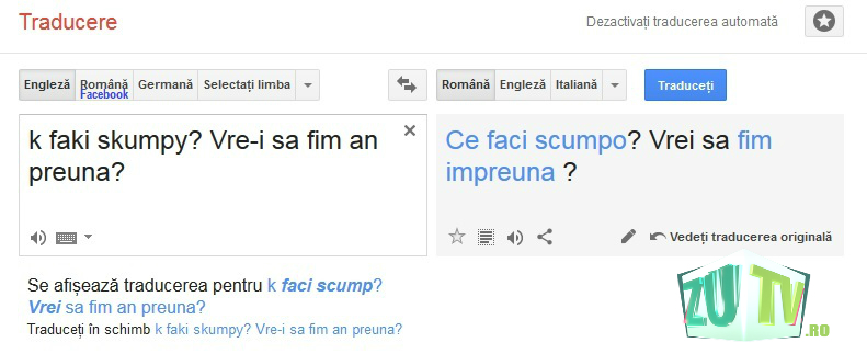 De Ziua Limbii Române, Google Translate oferă posibilitatea de a traduce din româna de pe facebook în română!