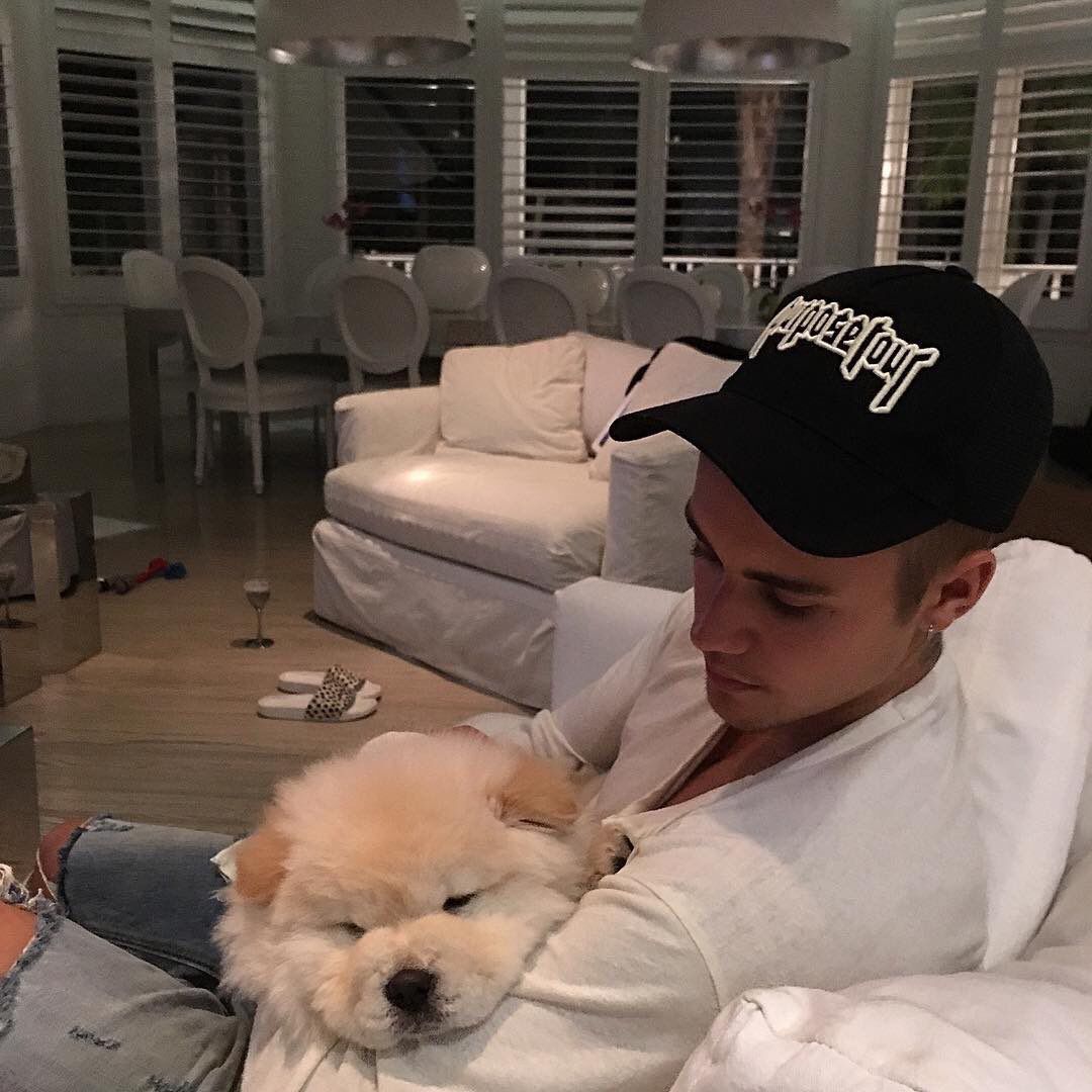 OMG! Justin Bieber nu poate fără Instagram. I-a făcut cont câinelui