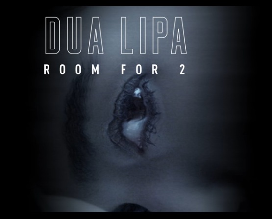 PIESĂ NOUĂ: Dua Lipa – Room for 2