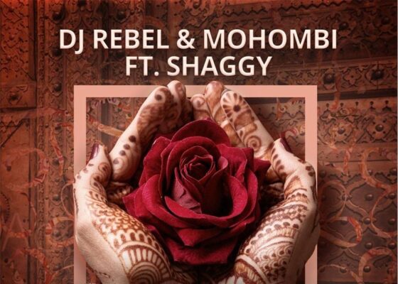 VIDEOCLIP NOU: DJ Rebel & Mohombi feat Shaggy – Let Me Love You