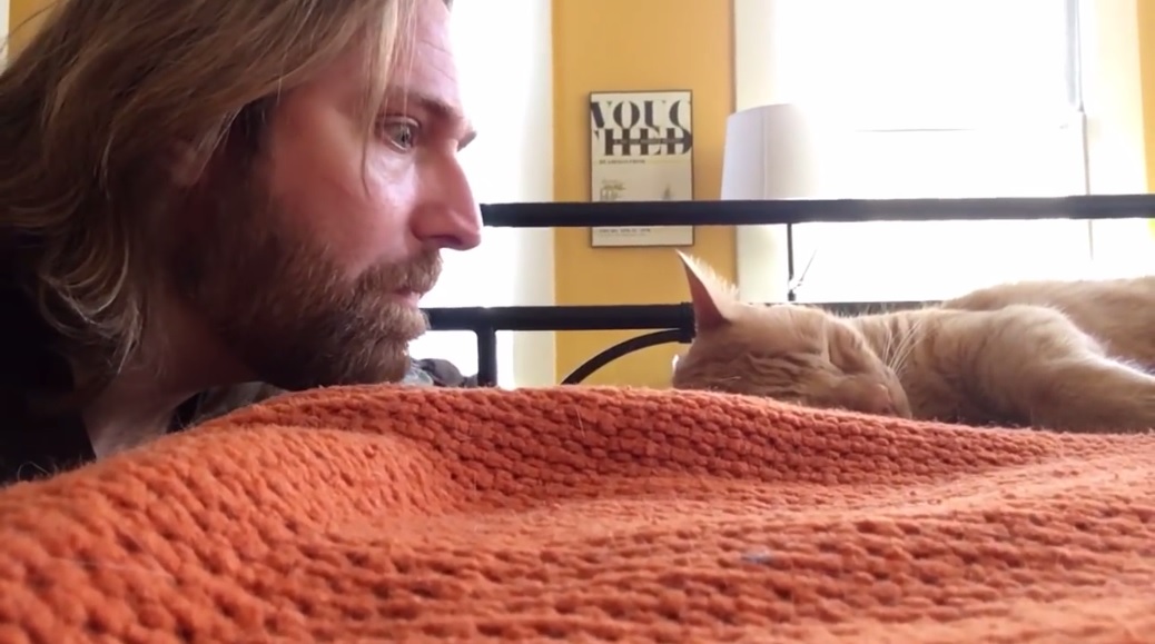 VIDEO LOL. A vrut să se răzbune pe pisica lui pentru că îl trezeşte dimineaţa şi a înnebunit internetul