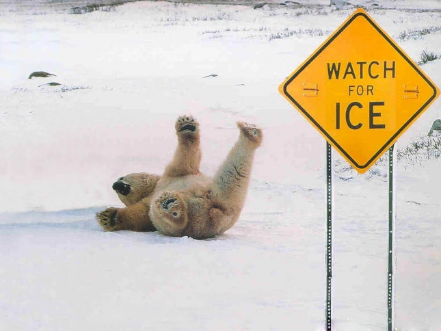 Atenţie la gheaţă! Astea sunt cele mai FUNNY căzături EVER