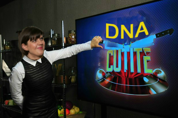 Procurori DNA la cuțite! Ce feluri de mâncare au în meniu temuții procurori DNA!