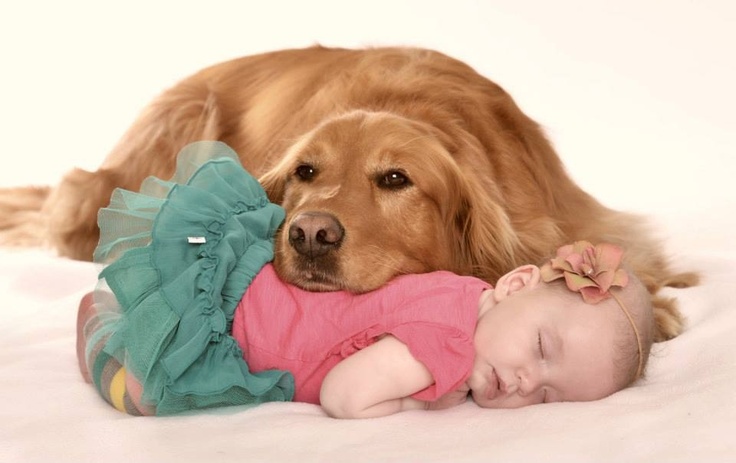 10 imagini care demonstrează că un câine e cel mai bun babysitter