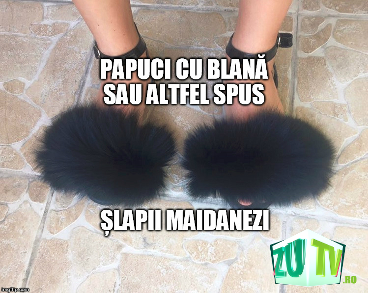 Humorous Accusation Conclusion TOP 10 cele mai tari GLUME despre moda papucilor cu blană! - ZUTV | ZU TV