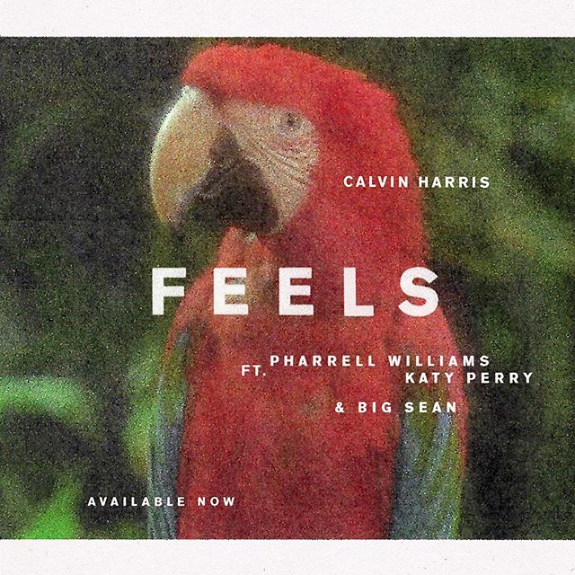 VIDEO NOU: Calvin Harris – Feels ft. Pharrell Williams, Katy Perry, Big Sean