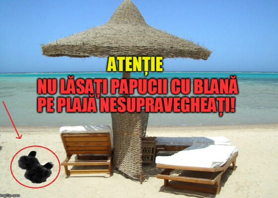 Un administrator de plajă privată din Mamaia a chemat hingherii după ce o pițipoancă și-a uitat șlapii cu blană lângă șezlong!