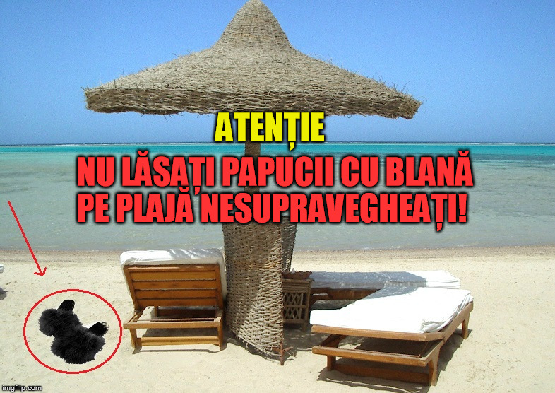 Un administrator de plajă privată din Mamaia a chemat hingherii după ce o pițipoancă și-a uitat șlapii cu blană lângă șezlong!