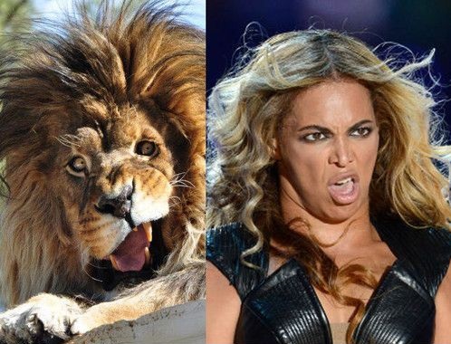 LOL! 14 celebrități care arată EXACT ca niște animale