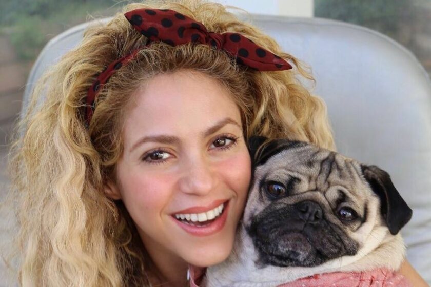 VIDEO: Știai că Shakira vorbește 6 limbi străine? Uite cât de bine se descurcă!