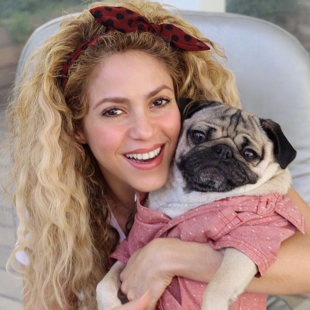 VIDEO: Știai că Shakira vorbește 6 limbi străine? Uite cât de bine se descurcă!