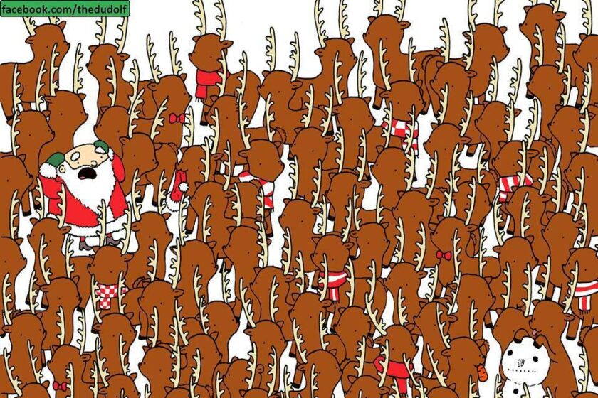 PROVOCARE: Poți să găsești ursul ascuns în turma de reni?