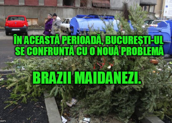 TOP 10 metode INEDITE prin care românii pot scăpa de brazii de Crăciun în loc să îi arunce pe stradă!