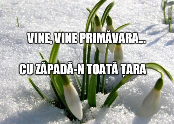 TOP 10 lucruri tipic românești după care îți dai seama că a venit primăvara!