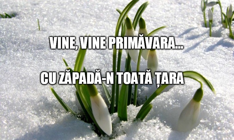 TOP 10 lucruri tipic românești după care îți dai seama că a venit primăvara!