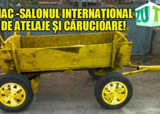 Concurență SIAB! În provincie se organizează Salonul Internațional de Atelaje și cărucioare!