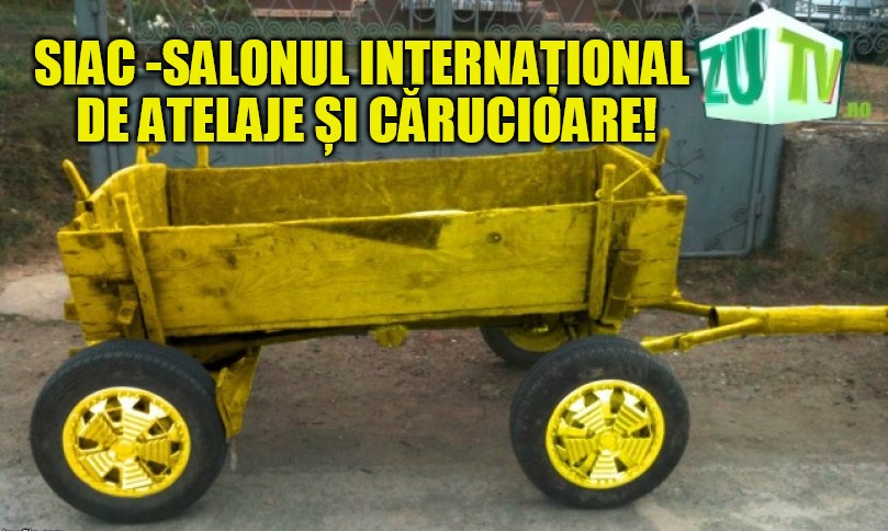 Concurență SIAB! În provincie se organizează Salonul Internațional de Atelaje și cărucioare!