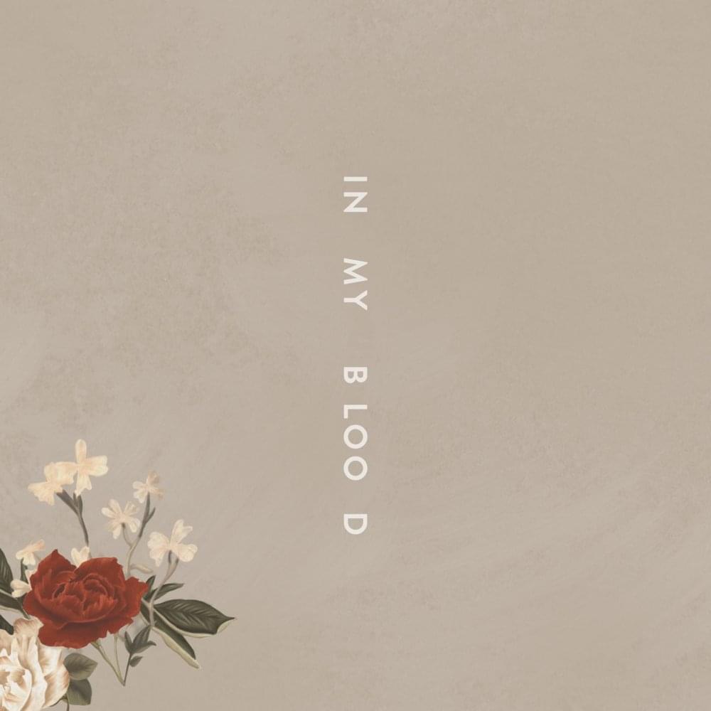 VIDEOCLIP NOU: Shawn Mendes – In My Blood