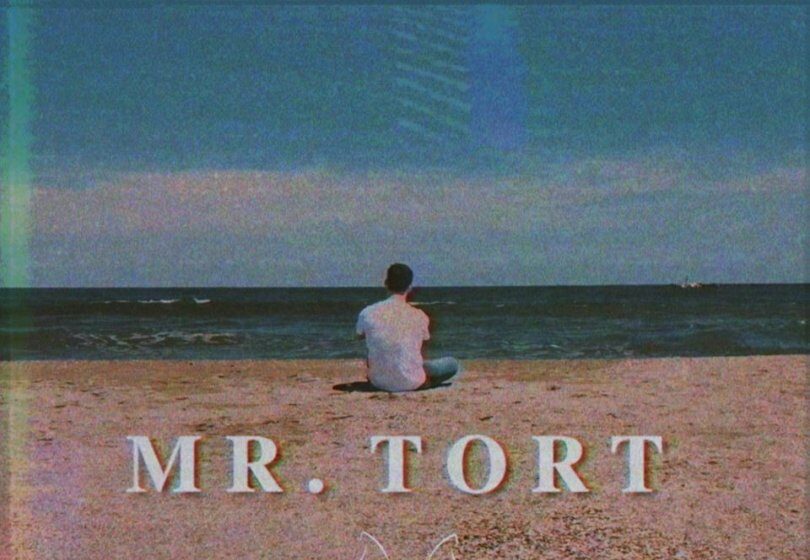 VIDEOCLIP NOU: The Motans – Mr. Tort