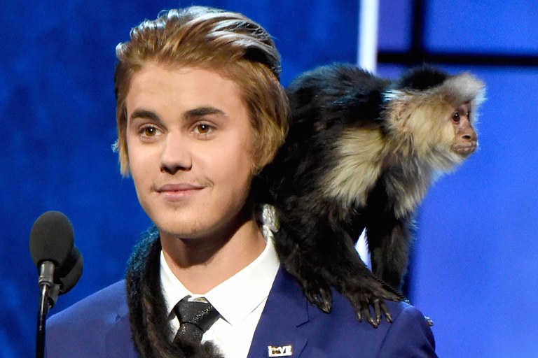 Mai țineți minte maimuțica lui Justin Bieber? TOP 8 vedete cu cele mai NEOBIȘNUITE animale de companie