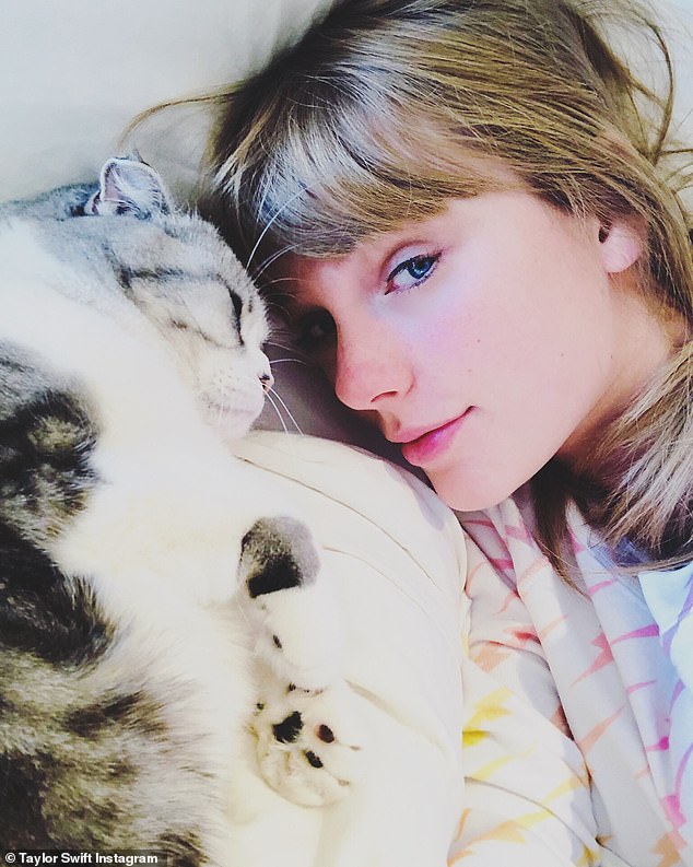 Taylor Swift va juca în „Cats. Vezi ce rol a primit!