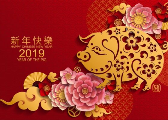 Începe Anul Mistrețului de Pământ! Cele mai tari GLUME despre cum îi va afecta pe români noul an chinezesc!