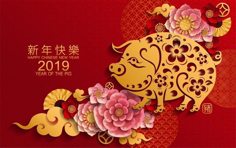Începe Anul Mistrețului de Pământ! Cele mai tari GLUME despre cum îi va afecta pe români noul an chinezesc!
