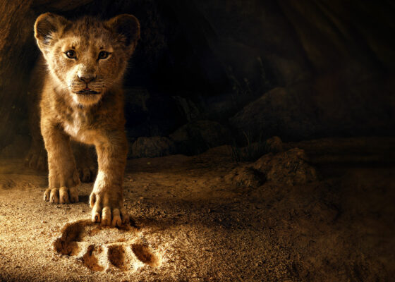 Ai văzut ”Lion King”? Uite ce semnificație au numele personajelor!