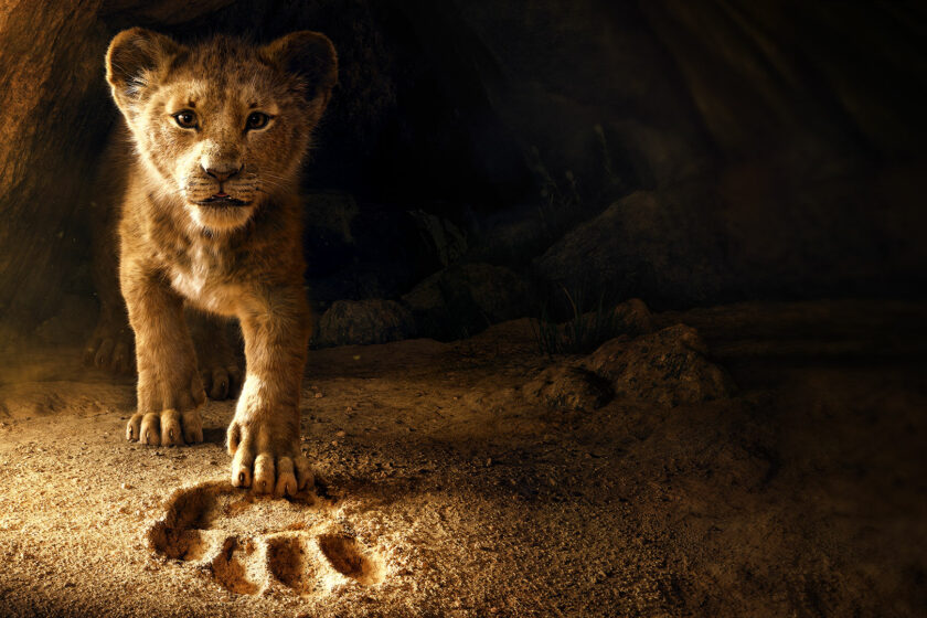 Ai văzut ”Lion King”? Uite ce semnificație au numele personajelor!