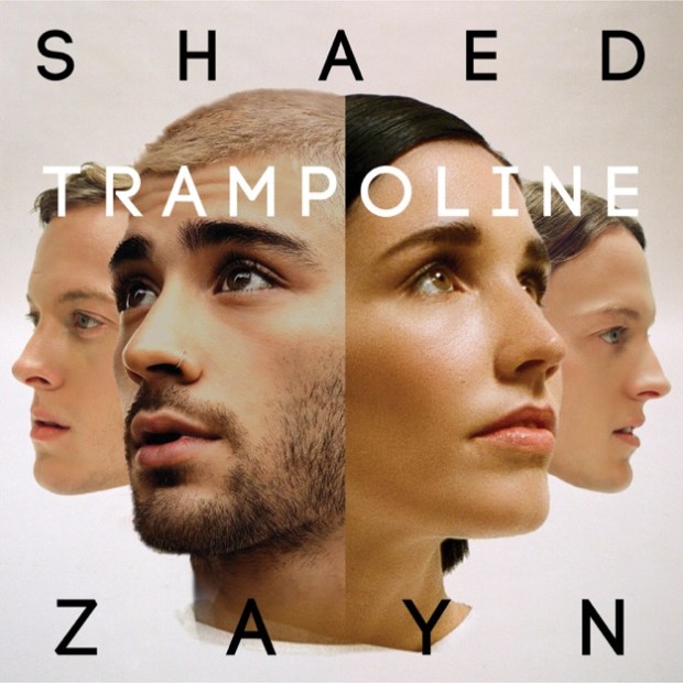 PIESĂ NOUĂ | Zayn x Shaed – Trampoline