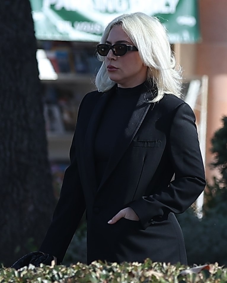 Lady Gaga a fost surprinsă cu un look elegant. Ea a ales și un machiaj simplu și discret și o geantă neagră